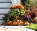 Fall Punkins and Gourds