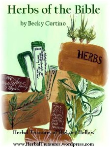 ht-herbs-of-the-bible1
